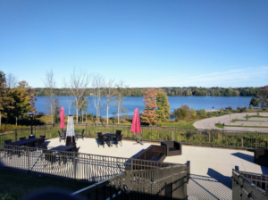 Vineyards at pine lake