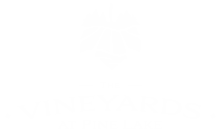 VPL White Logo