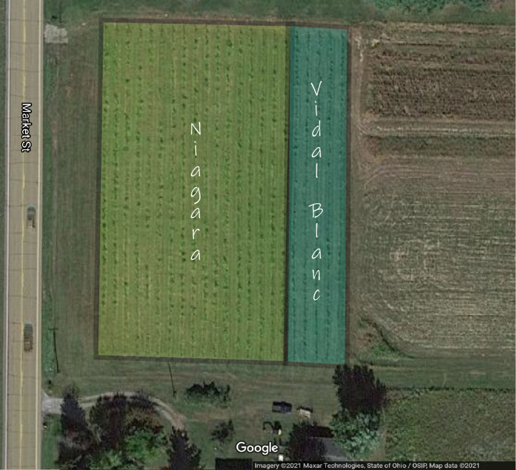 Vineyards