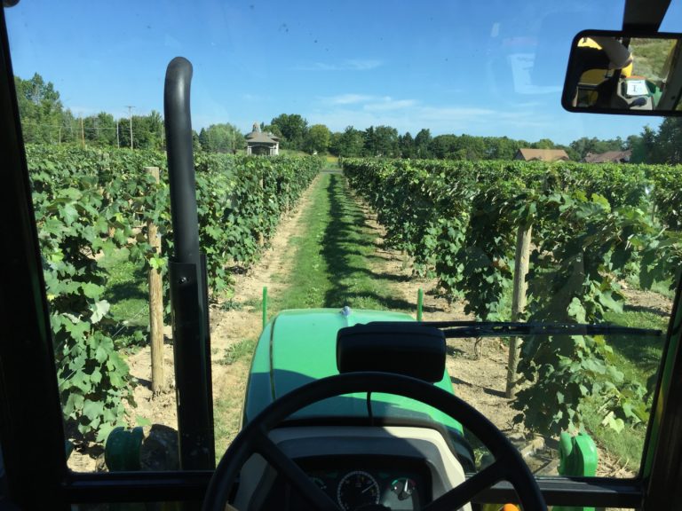 Tractor going through vineyards