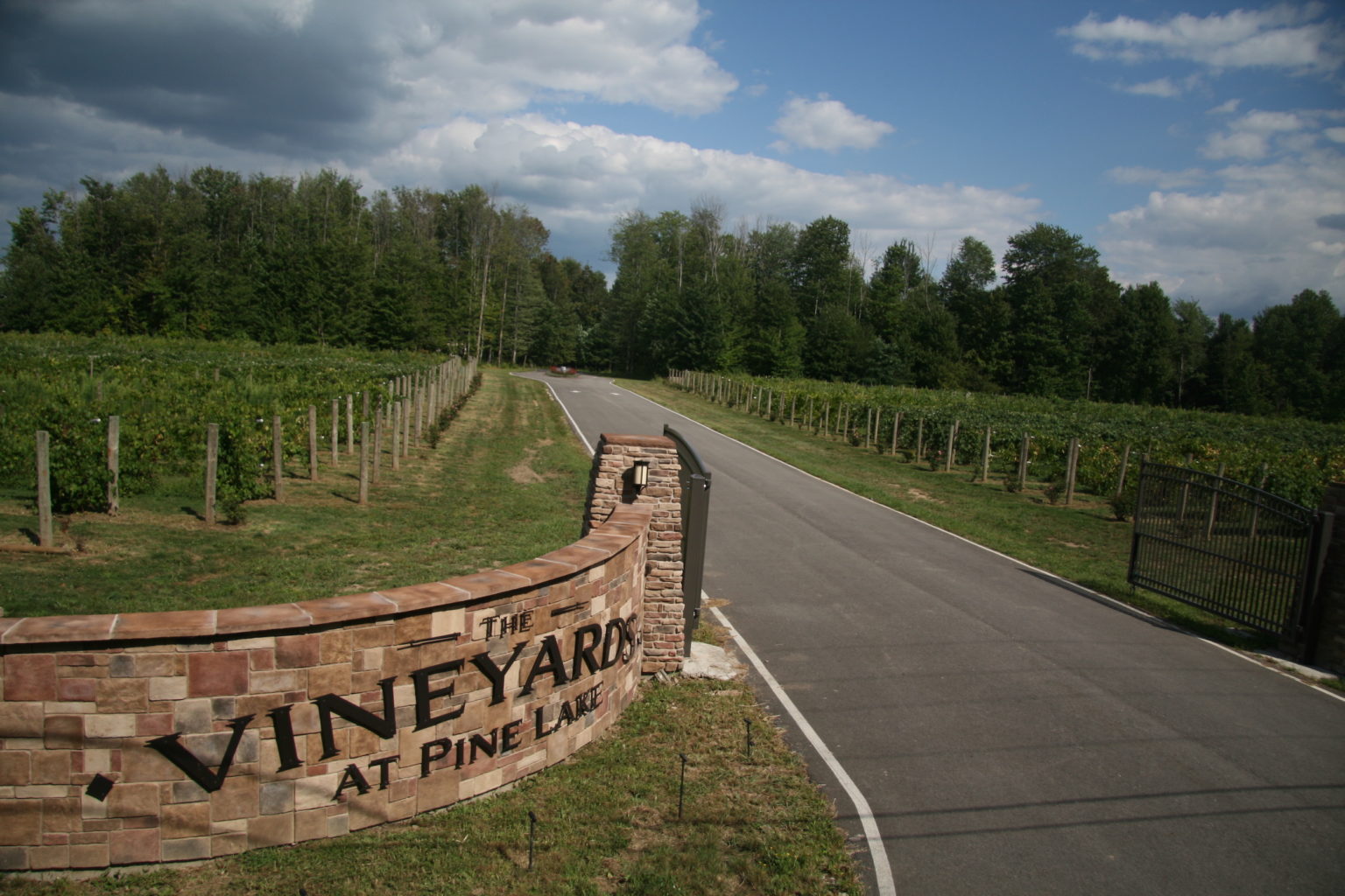 Special Events - The Vineyards At Pine Lake