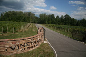 Vineyards at Pinelake Entrance