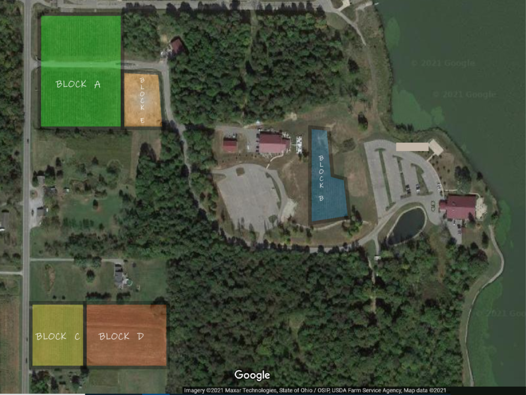 Entire Property