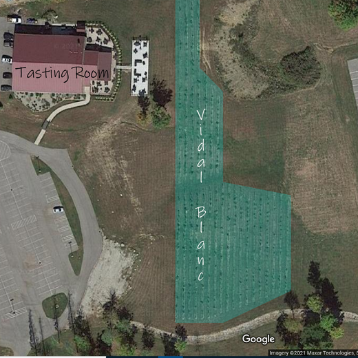 Vineyards block