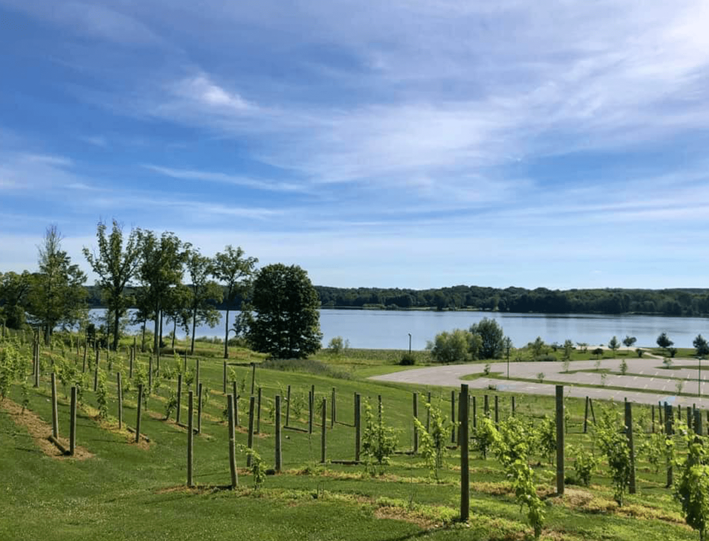 GreatView_Vineyards